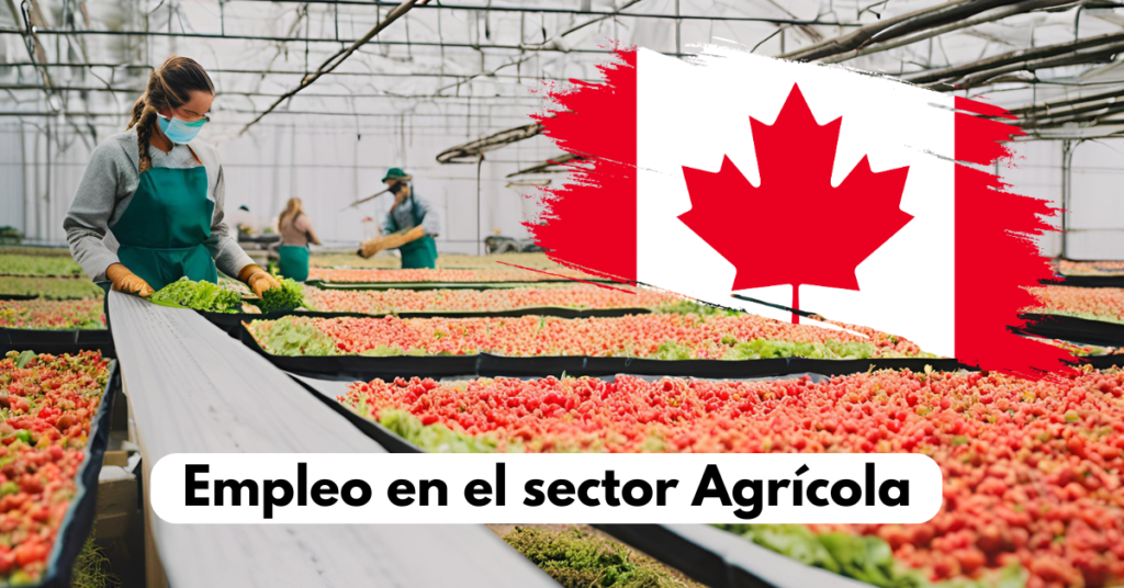Sector agrícola en Canadá